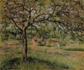エラニーのリンゴの木 1884年 カミーユ・ピサロの風景
